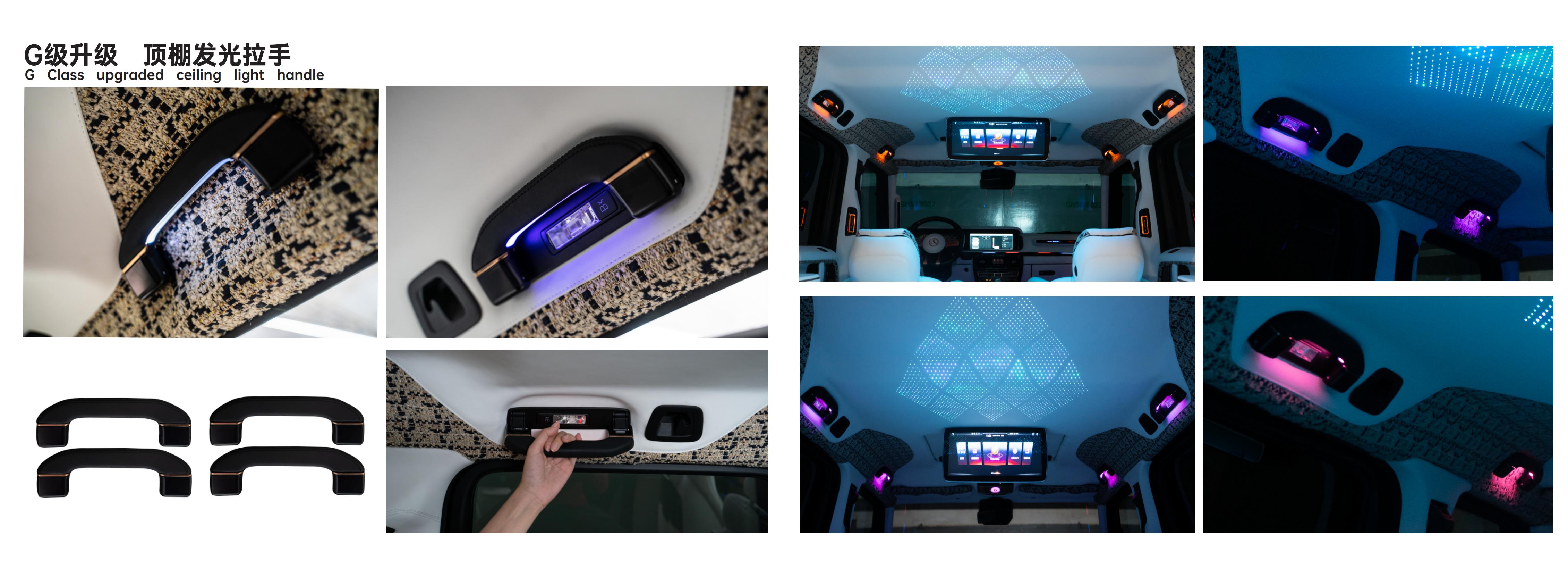 LED Roof Grab Handle