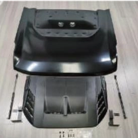 Raptor hood for Bronco 
