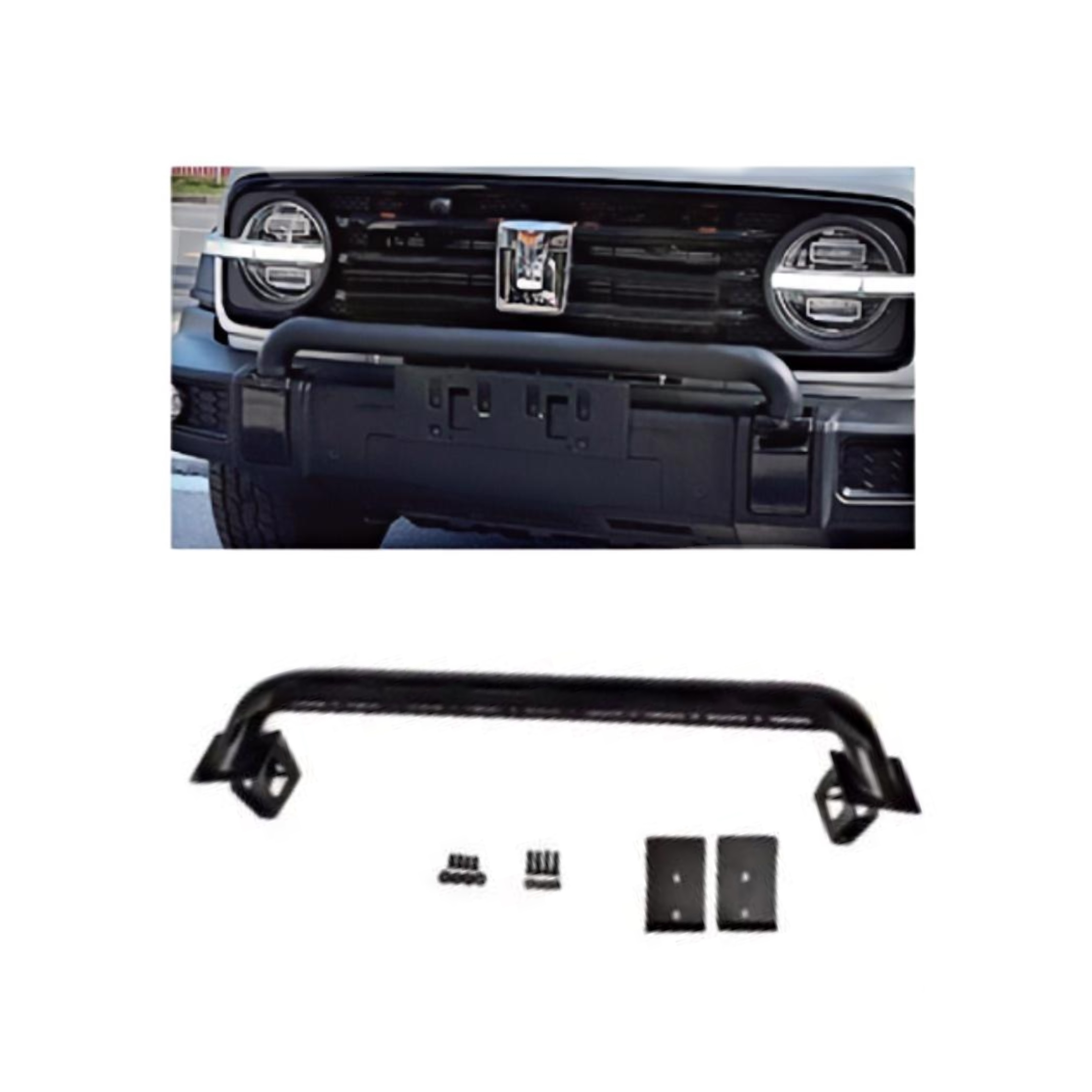 Bull Bar for Tank 300